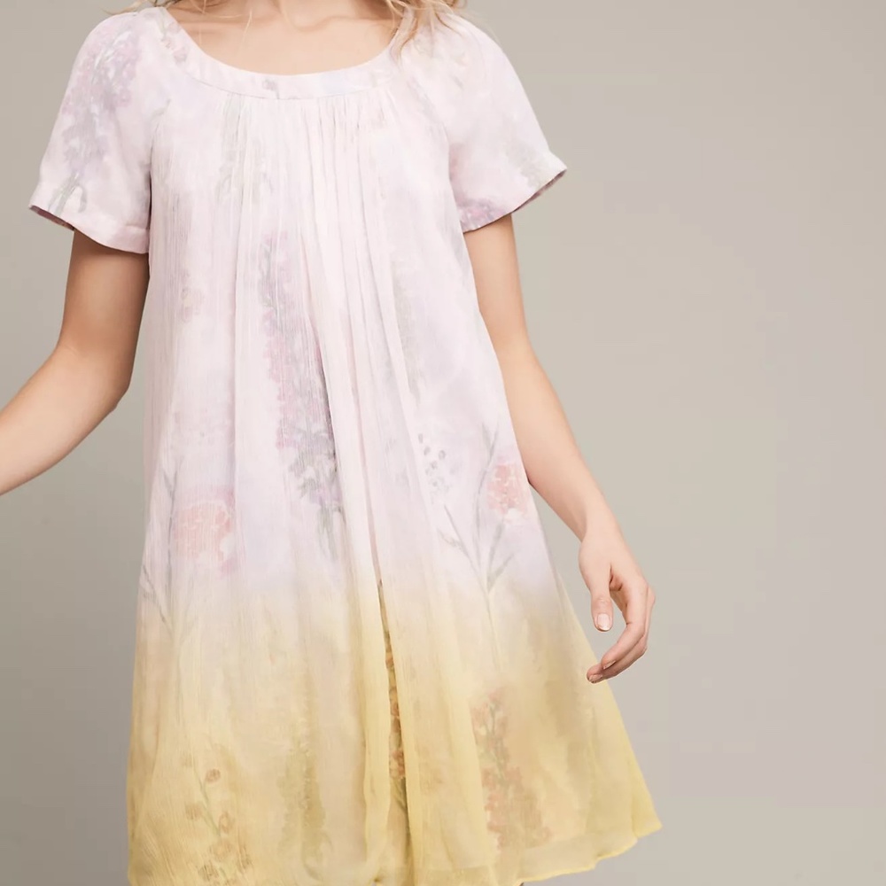 Hd In Paris Ombre Chiffon Floral Swing Dress - image 1